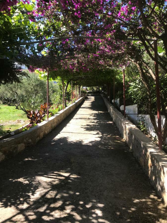 Knossos Pánormos Exterior foto